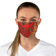 Load image into Gallery viewer, Fabric Face Mask
